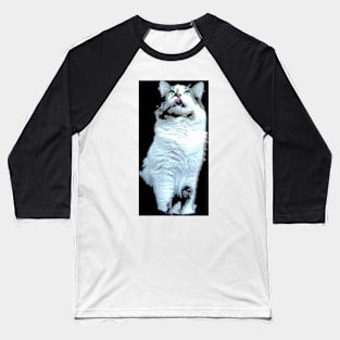 Kitty Baseball T-Shirt